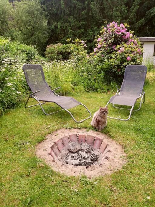 Ferienwohnung Fuer Naturfreunde Rathmannsdorf Luaran gambar